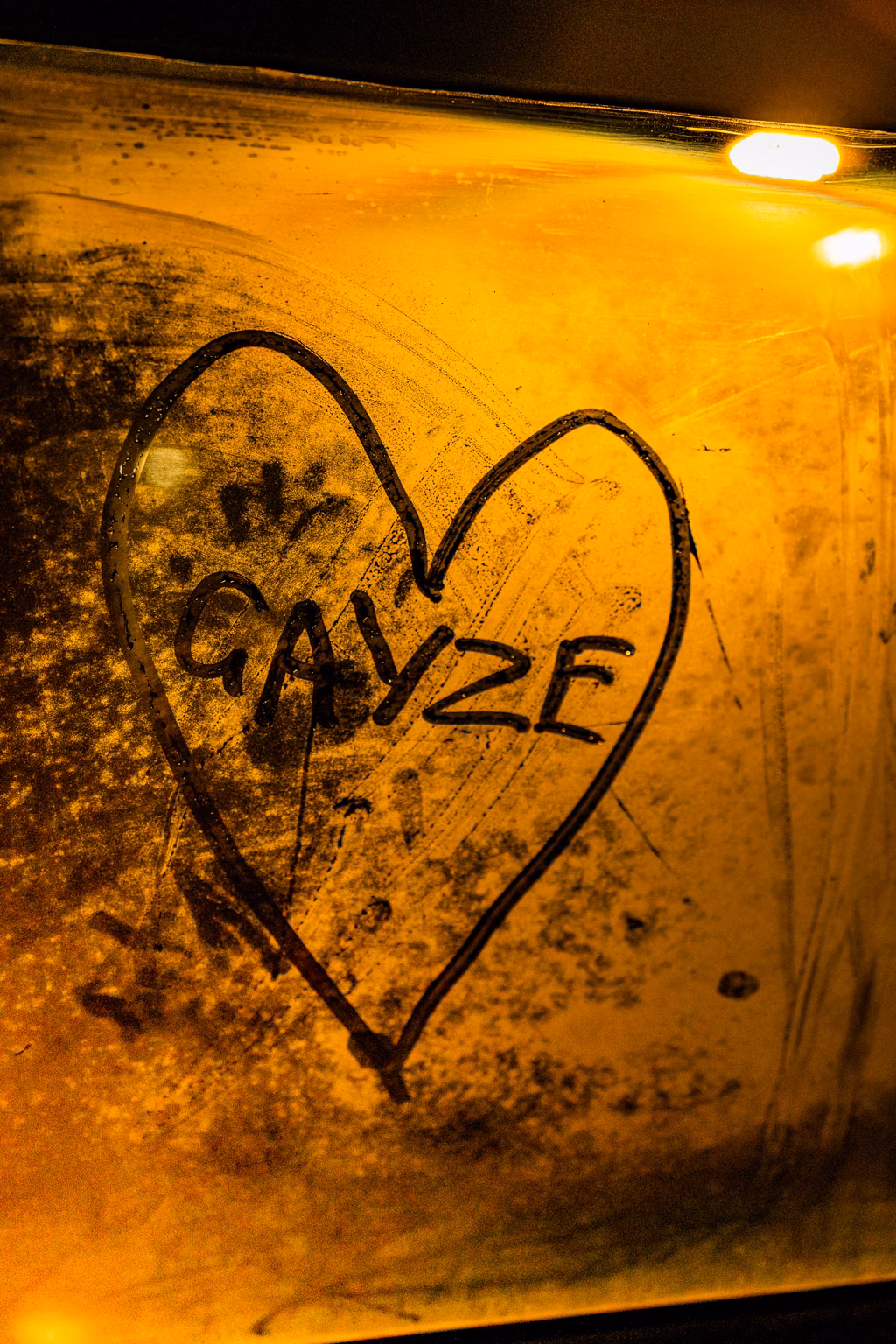Photo from The Gayze Fundraiser: Garden of Unearthly Delights